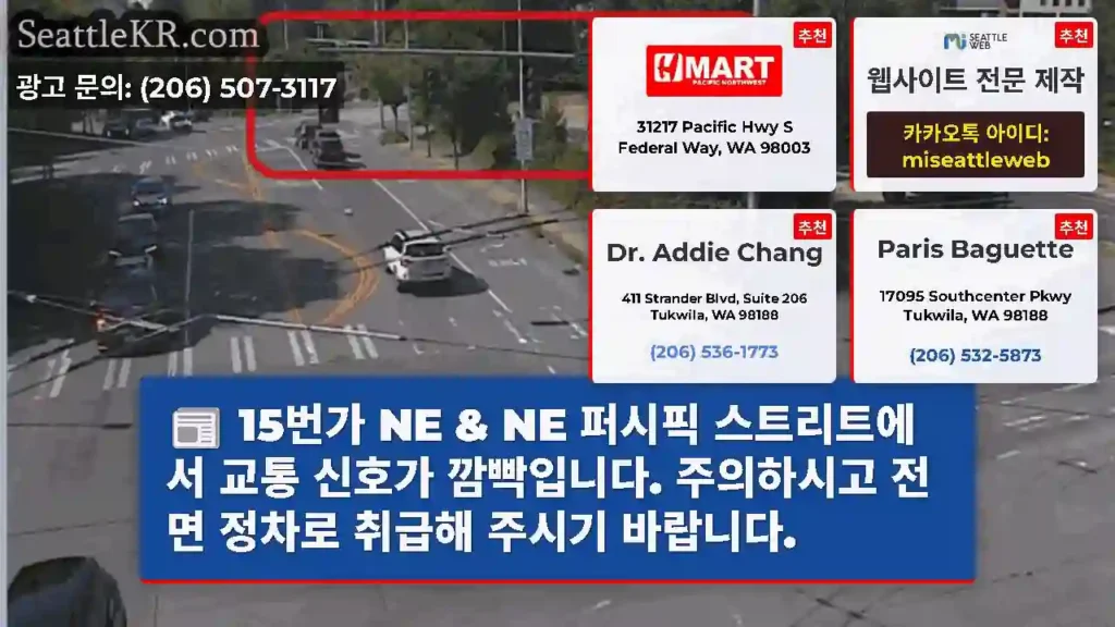 15번가 NE & NE 퍼시픽 스트리트에서 교통 신호가 깜빡입니다. 주의하시고 전면