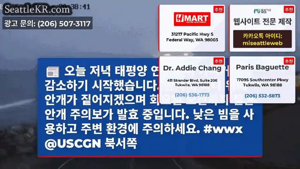 오늘 저녁 태평양 연안에서 가시거리가 감소하기 시작했습니다. 밤사이 바다 위에 안개가
