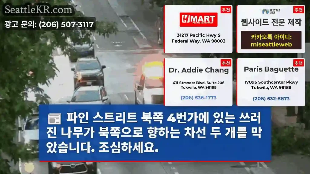 파인 스트리트 북쪽 4번가에 있는 쓰러진 나무가 북쪽으로 향하는 차선 두 개를