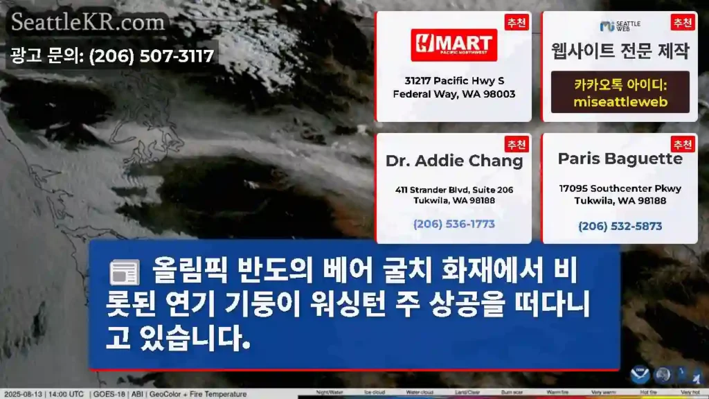 올림픽 반도의 베어 굴치 화재에서 비롯된 연기 기둥이 워싱턴 주 상공을 떠다니고 있습니다.