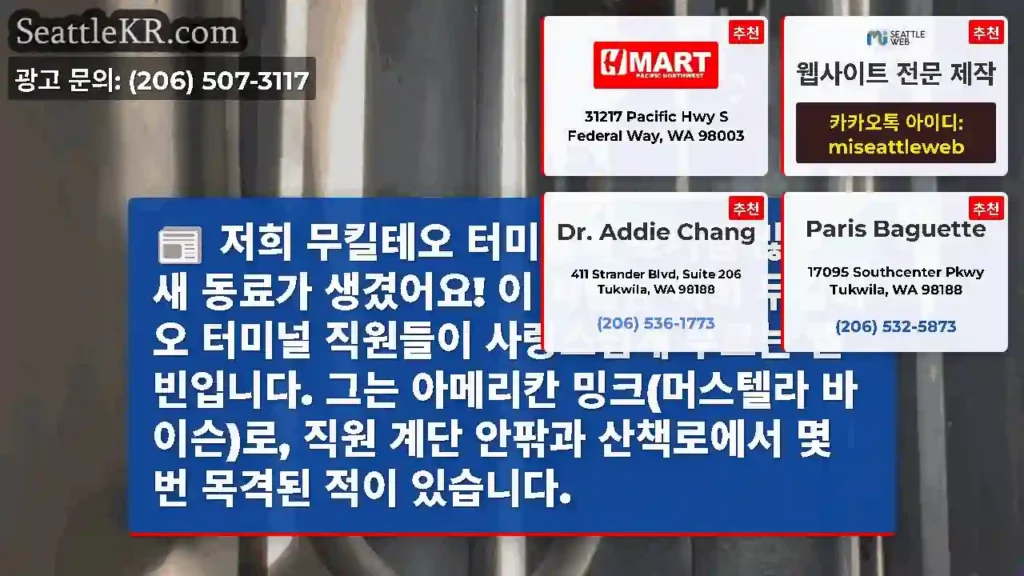 저희 무킬테오 터미널에 호기심 많은 새 동료가 생겼어요! 이 사람은 저희 무킬테오 터미널