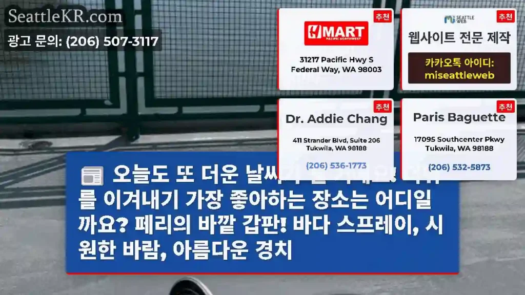 오늘도 또 더운 날씨가 될 거예요! 더위를 이겨내기 가장 좋아하는 장소는 어디일까요?