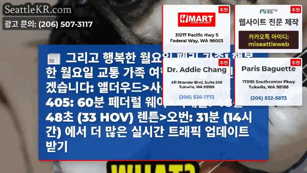 그리고 행복한 월요일 페리 가족! 행복한 월요일 교통 가족 여행 시간을 확인해
