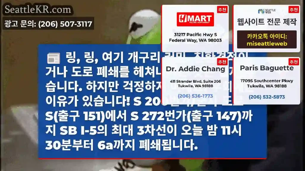 링, 링, 여기 개구리 커밋. 친환경적이거나 도로 폐쇄를 헤쳐나가는 것은 쉽지