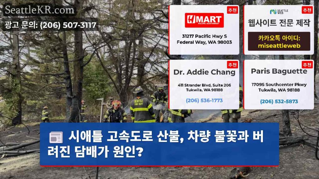 시애틀 고속도로 산불, 차량 불꽃과 버려진 담배가 원인?