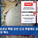 코코넛 폭발 오인 신고 무킬테오 공원 긴장감 해소
