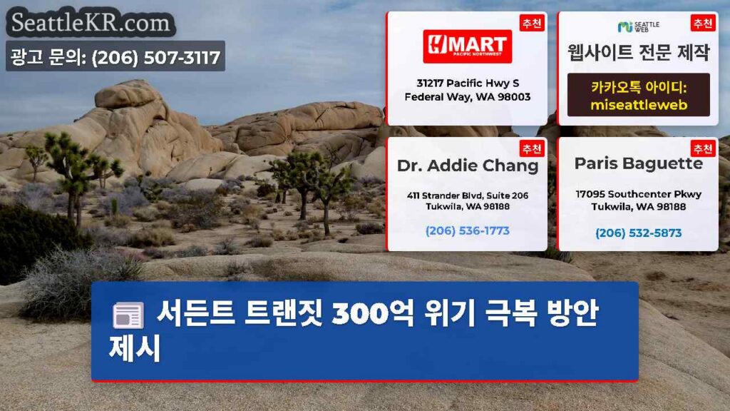 서든트 트랜짓 300억 위기 극복 방안 제시