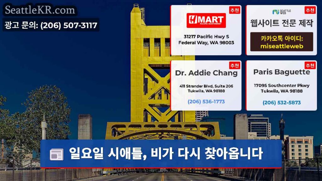 일요일 시애틀, 비가 다시 찾아옵니다