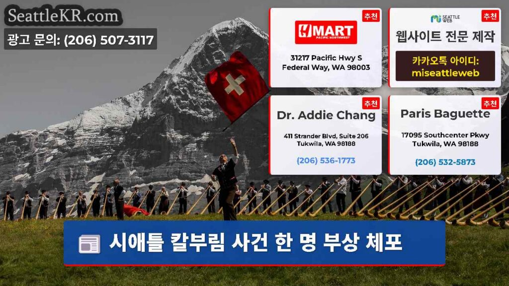 시애틀 칼부림 사건 한 명 부상 체포