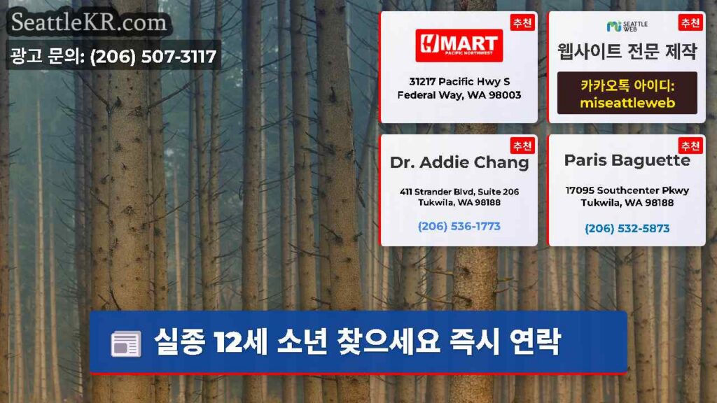 실종 12세 소년 찾으세요 즉시 연락