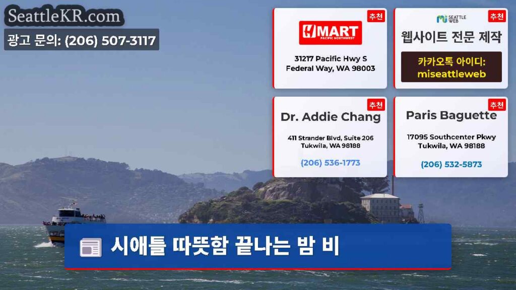 시애틀 따뜻함 끝나는 밤 비