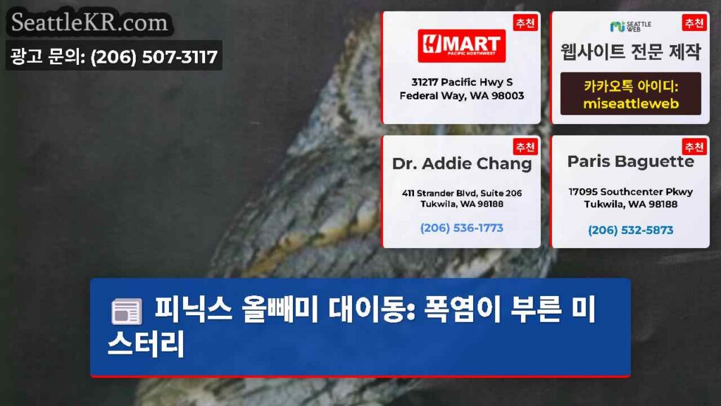 피닉스 올빼미 대이동: 폭염이 부른 미스터리