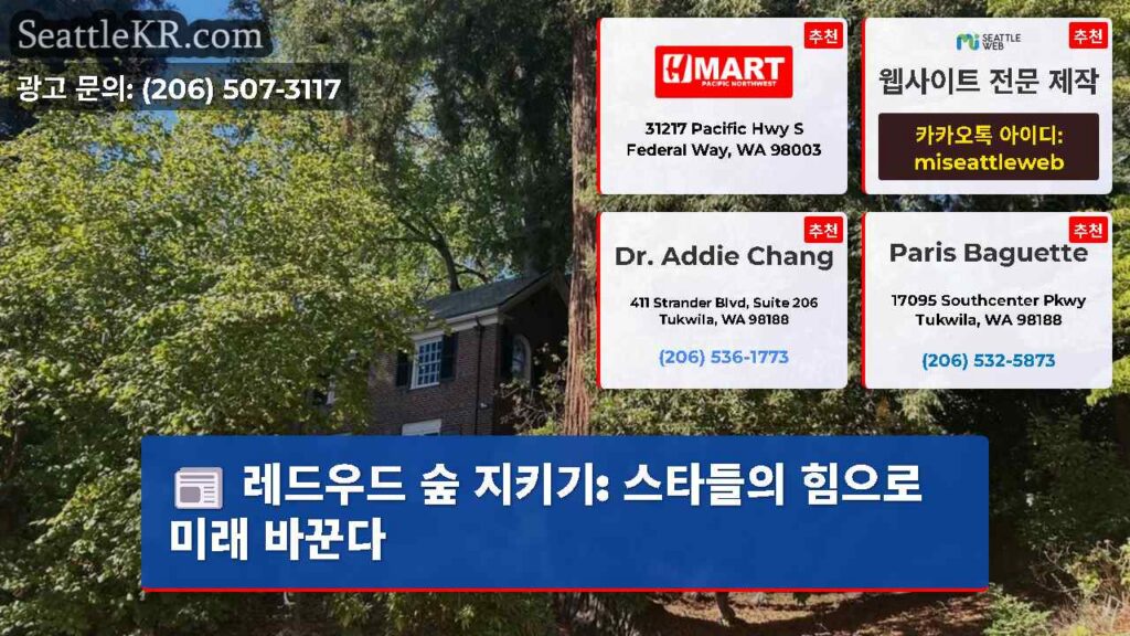레드우드 숲 지키기: 스타들의 힘으로 미래 바꾼다