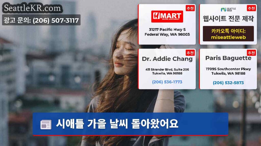 시애틀 가을 날씨 돌아왔어요