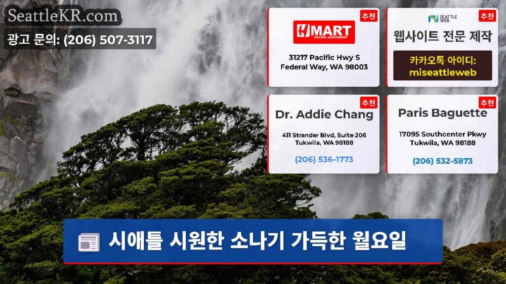 시애틀 시원한 소나기 가득한 월요일