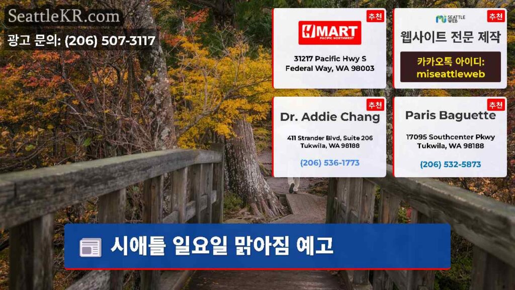 시애틀 일요일 맑아짐 예고