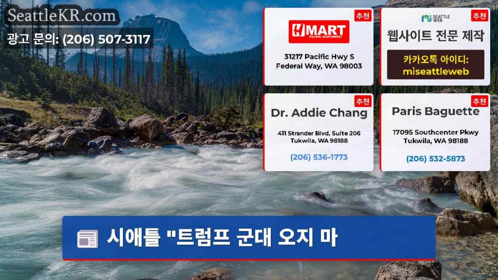 시애틀 "트럼프 군대 오지 마