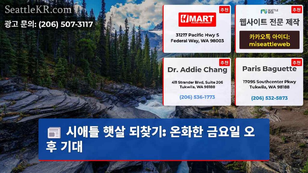 시애틀 햇살 되찾기: 온화한 금요일 오후 기대