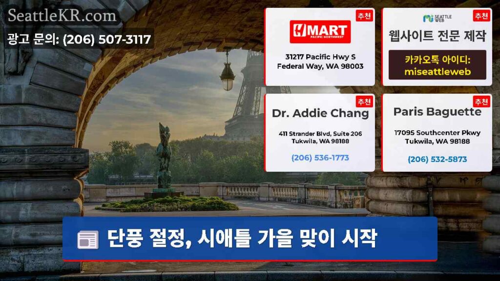 단풍 절정, 시애틀 가을 맞이 시작