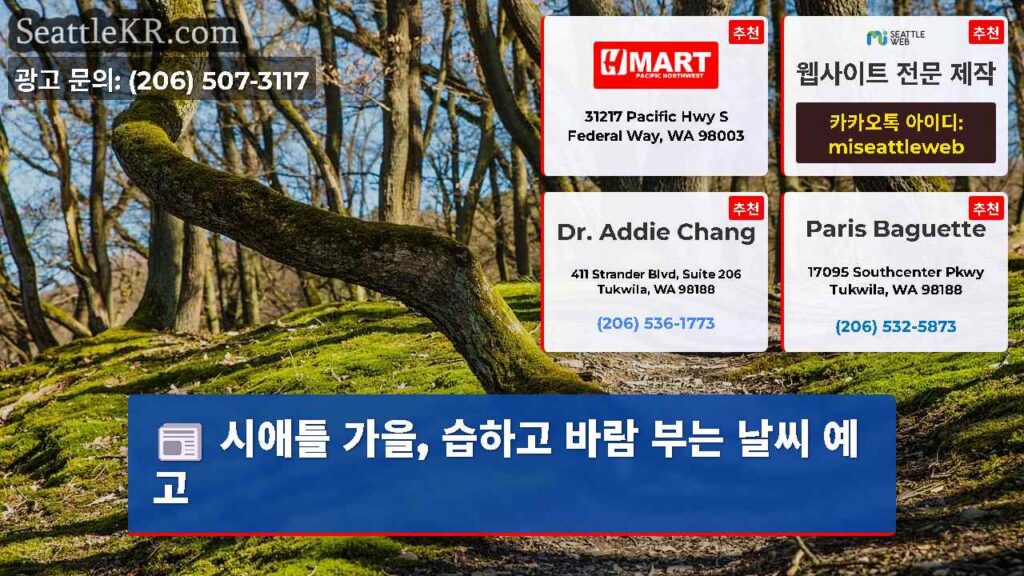 시애틀 가을, 습하고 바람 부는 날씨 예고