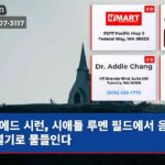 에드 시런 시애틀 루멘 필드에서 음악의 열기로 물들인다