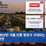 워싱턴 가을 단풍 절정기 기대되는 색의 향연