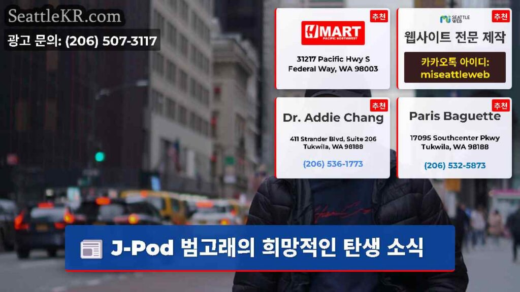 J-Pod 범고래의 희망적인 탄생 소식