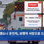 뺑소니 운전자 보행자 사망으로 드러나