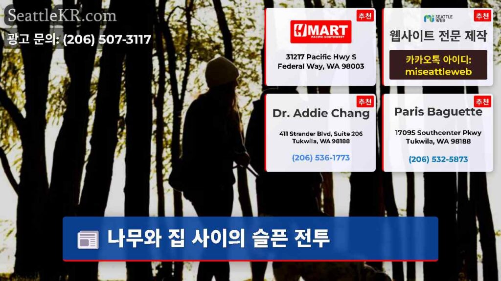 나무와 집 사이의 슬픈 전투