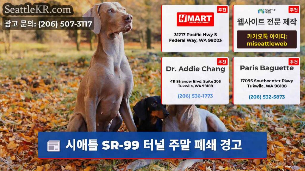 시애틀 SR-99 터널 주말 폐쇄 경고
