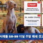 시애틀 SR-99 터널 주말 폐쇄 경고