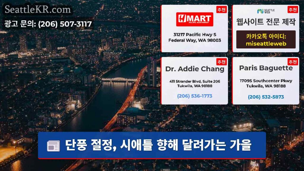 단풍 절정, 시애틀 향해 달려가는 가을