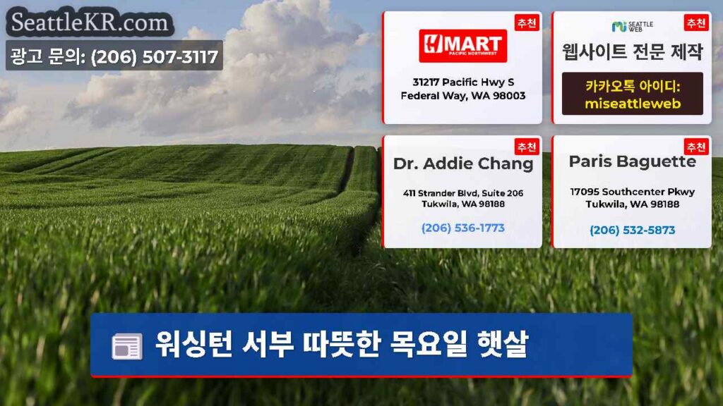 워싱턴 서부 따뜻한 목요일 햇살