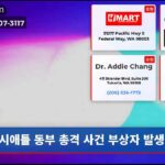 시애틀 동부 총격 사건 부상자 발생