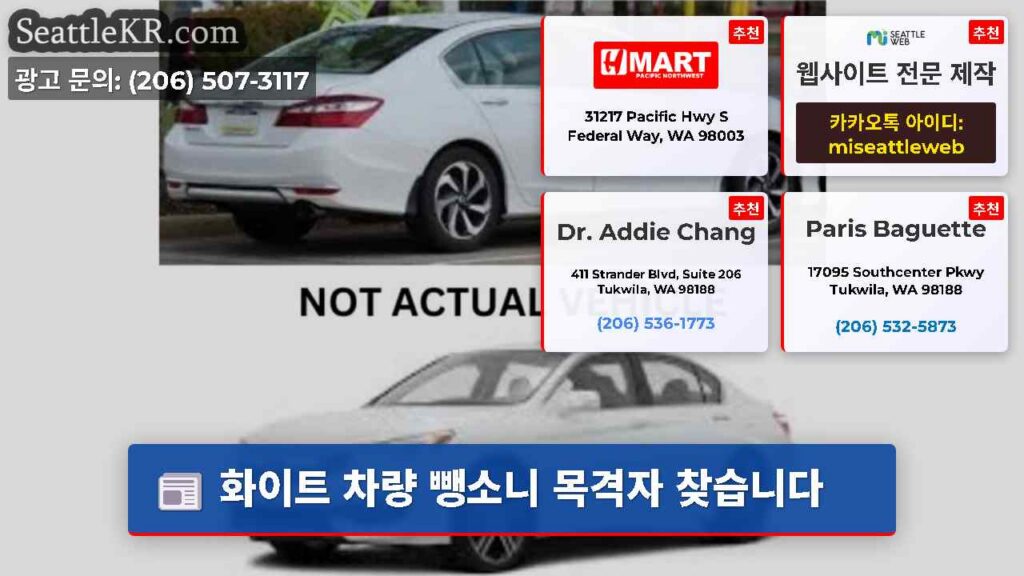 화이트 차량 뺑소니 목격자 찾습니다