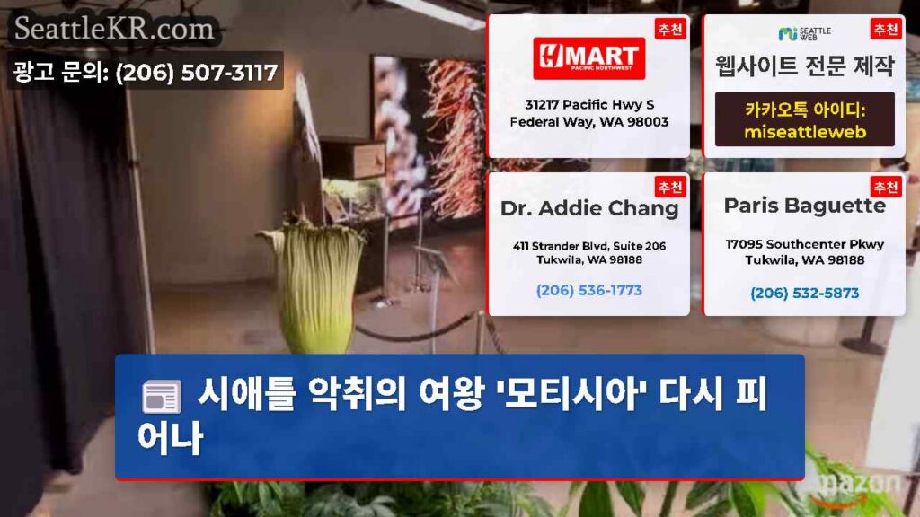 시애틀 악취의 여왕 '모티시아' 다시 피어나