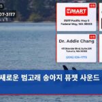 새로운 범고래 송아지 퓨젯 사운드 등장