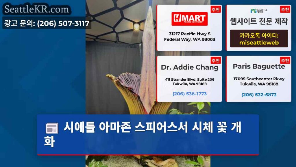시애틀 아마존 스피어스서 시체 꽃 개화