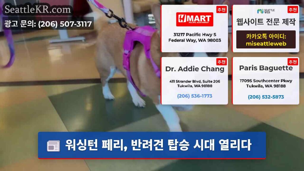 워싱턴 페리, 반려견 탑승 시대 열리다