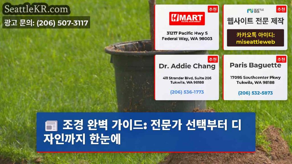 조경 완벽 가이드: 전문가 선택부터 디자인까지 한눈에