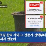 조경 완벽 가이드 전문가 선택부터 디자인까지 한눈에