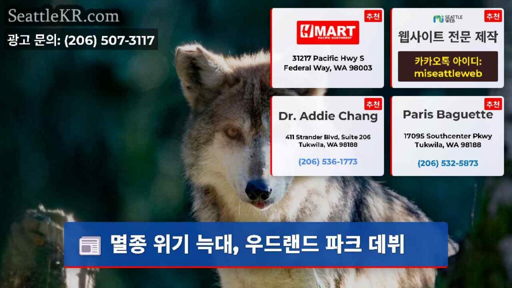 멸종 위기 늑대, 우드랜드 파크 데뷔