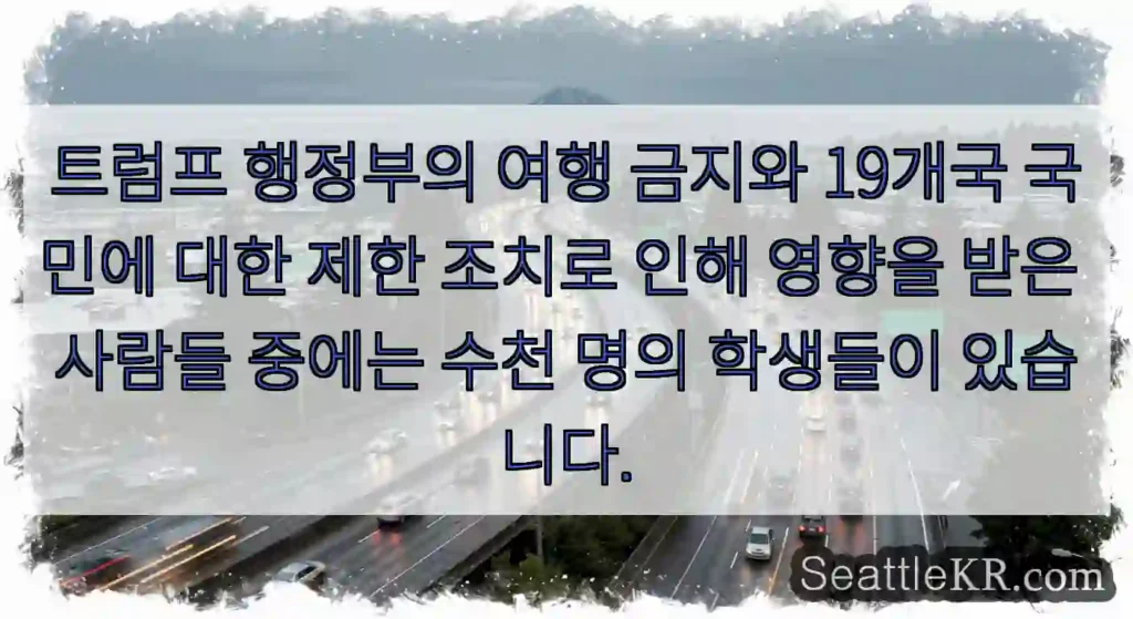 트럼프 행정부의 여행 금지와 19개국 국민에 대한 제한 조치로 인해 영향을 받은 사람들