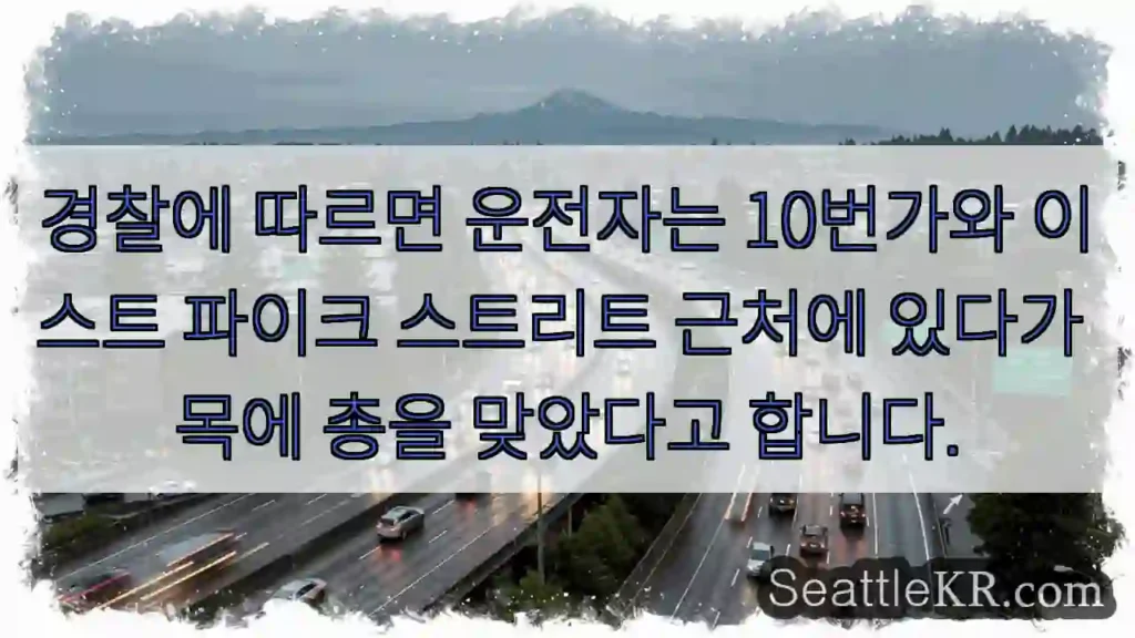 경찰에 따르면 운전자는 10번가와 이스트 파이크 스트리트 근처에 있다가 목에 총을