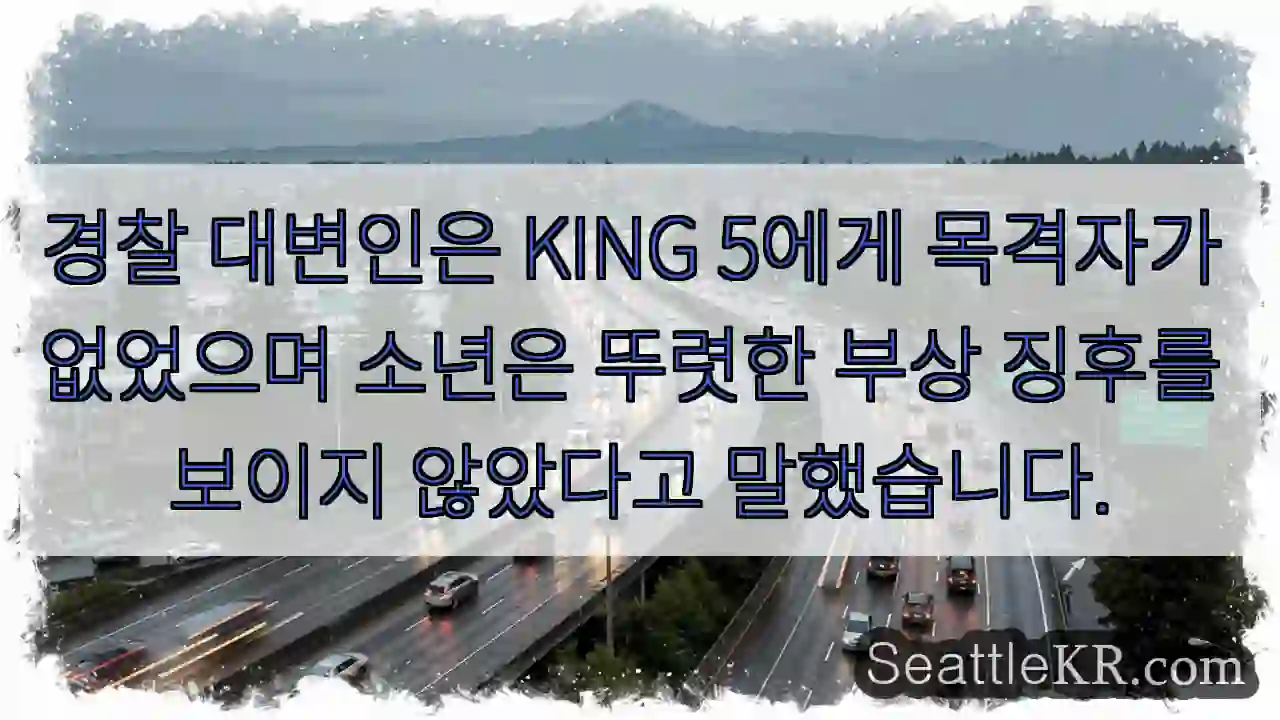 경찰 대변인은 KING 5에게 목격자가 없었으며 소년은 뚜렷한 부상 징후를 보이지