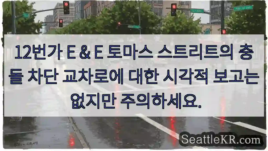 12번가 E & E 토마스 스트리트의 충돌 차단 교차로에 대한 시각적 보고는 없지만