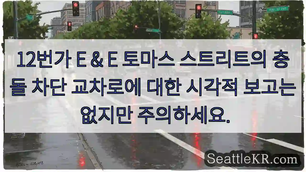12번가 E & E 토마스 스트리트의 충돌 차단 교차로에 대한 시각적 보고는 없지만