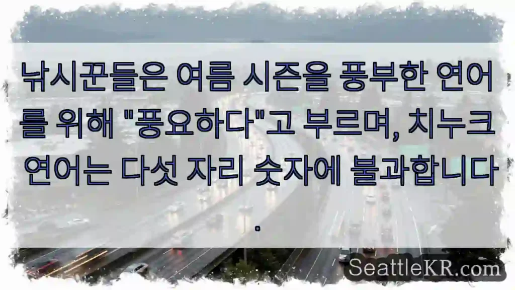 낚시꾼들은 여름 시즌을 풍부한 연어를 위해 "풍요하다"고 부르며, 치누크 연어는 다섯