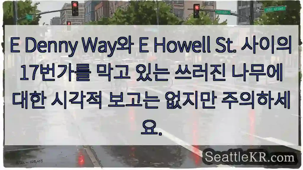E Denny Way와 E Howell St. 사이의 17번가를 막고 있는 쓰러진 나무에