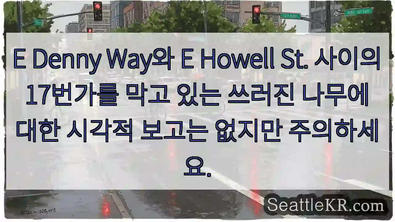 E Denny Way와 E Howell St. 사이의 17번가를 막고 있는 쓰러진 나무에